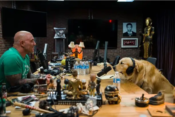 Joe Rogan's Dog, Marshall: Diet, Exercise, Toys, Podcast